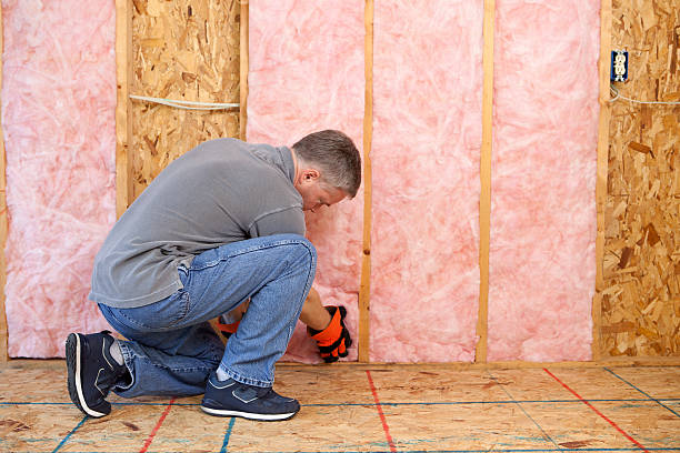 Best Cellulose Insulation in Morgan, UT